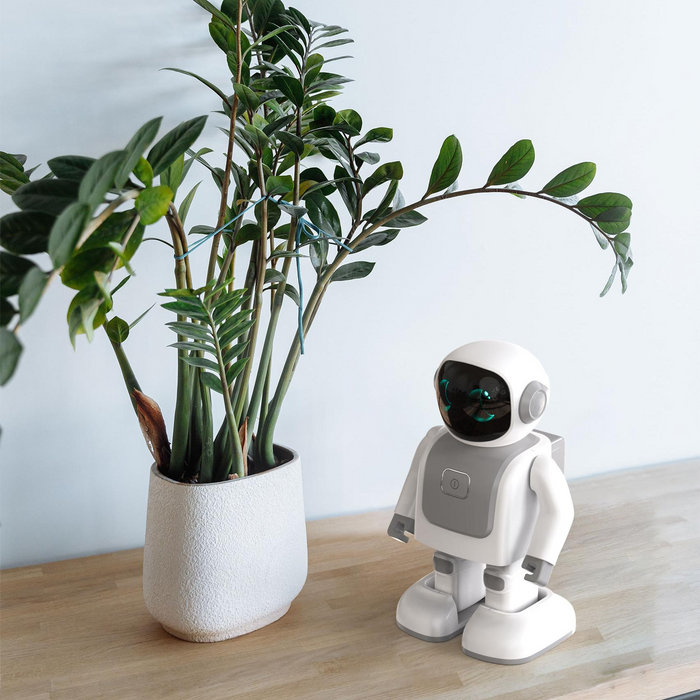 Smart Robot Dancing Speaker